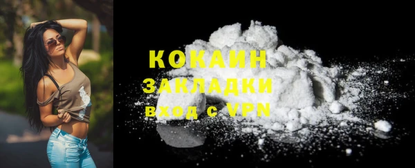 гидра Корсаков