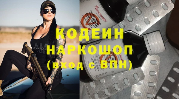 гидра Корсаков
