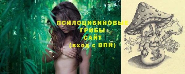 дмт Алзамай