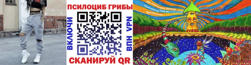 мориарти формула  Киржач  Галлюциногенные грибы Magic Shrooms 